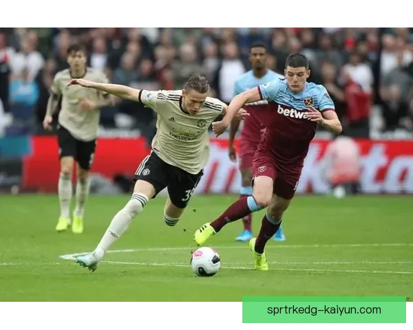 赖斯技术对比同位置